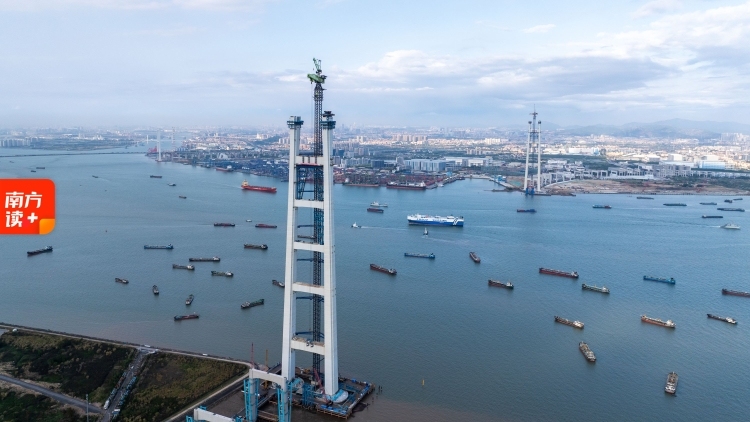 342米！狮子洋大桥“再创新高”，意味着什么？