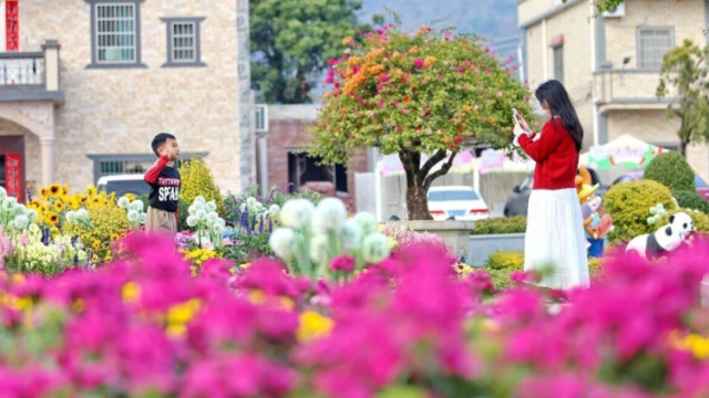 江门乡村正在上演一场“财富革命”