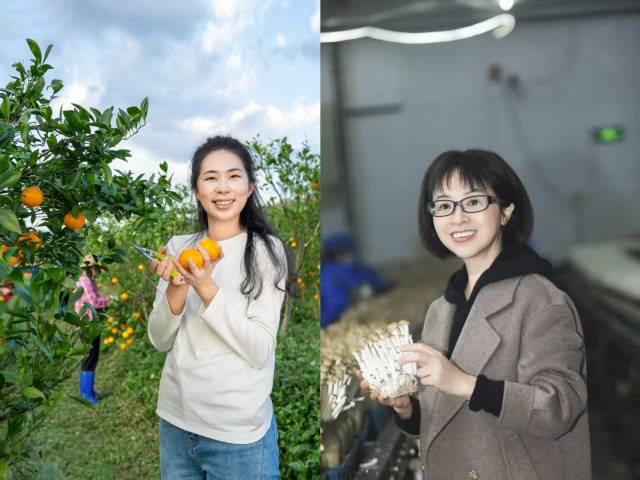 “贡柑妹妹”陈慧和“蘑菇姐姐”黄清华。