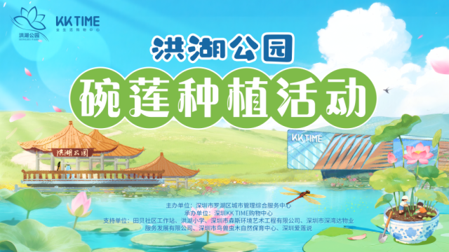 快来洪湖公园种碗莲啦！