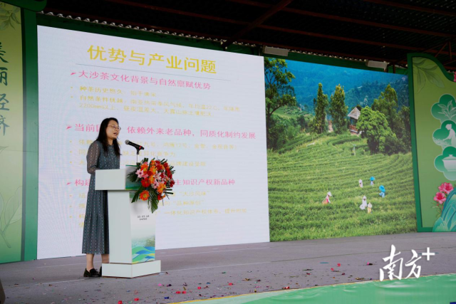 广东省农业科学院茶叶研究所副所长吴华玲。