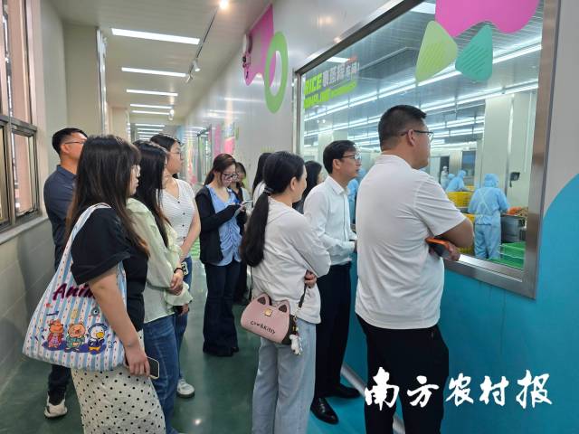 选手参观道滘裹蒸粽。