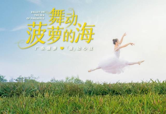 舞动菠萝的海。