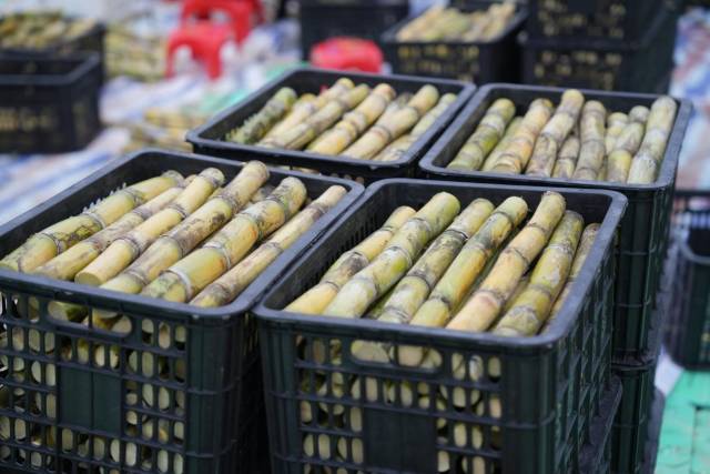 春节前，陈伟光也试图打开市场，奈何效果并不理想。