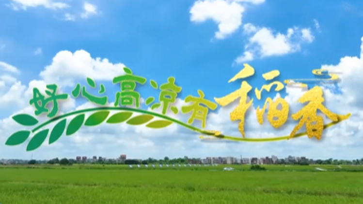 好心高凉有稻香