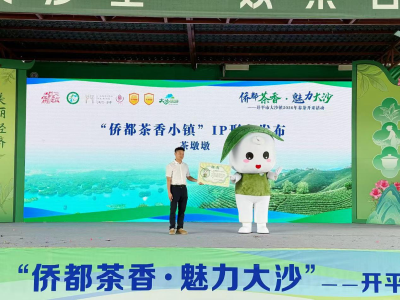 侨都满茶香，开平大沙春茶正式开采