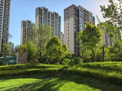 碧桂园服务2025年营收增长43.61亿元，但利润承压