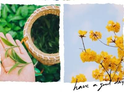 来广东茶园Color Walk，打开春日画卷