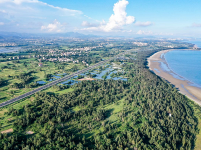 茂名滨海新区西葛村：“绿”美海岸线，“金”铺振兴路