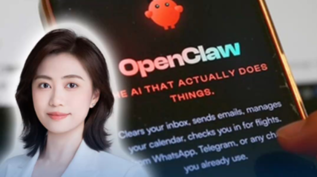 当“养龙虾”遇上全球治理：代码跑得比法律快？｜热聊冷观