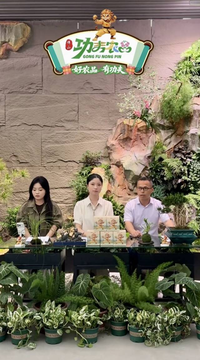 佛山市农业农村局市场信息科科长赖宏宇对“功夫农品”区域公用品牌进行权威解读。