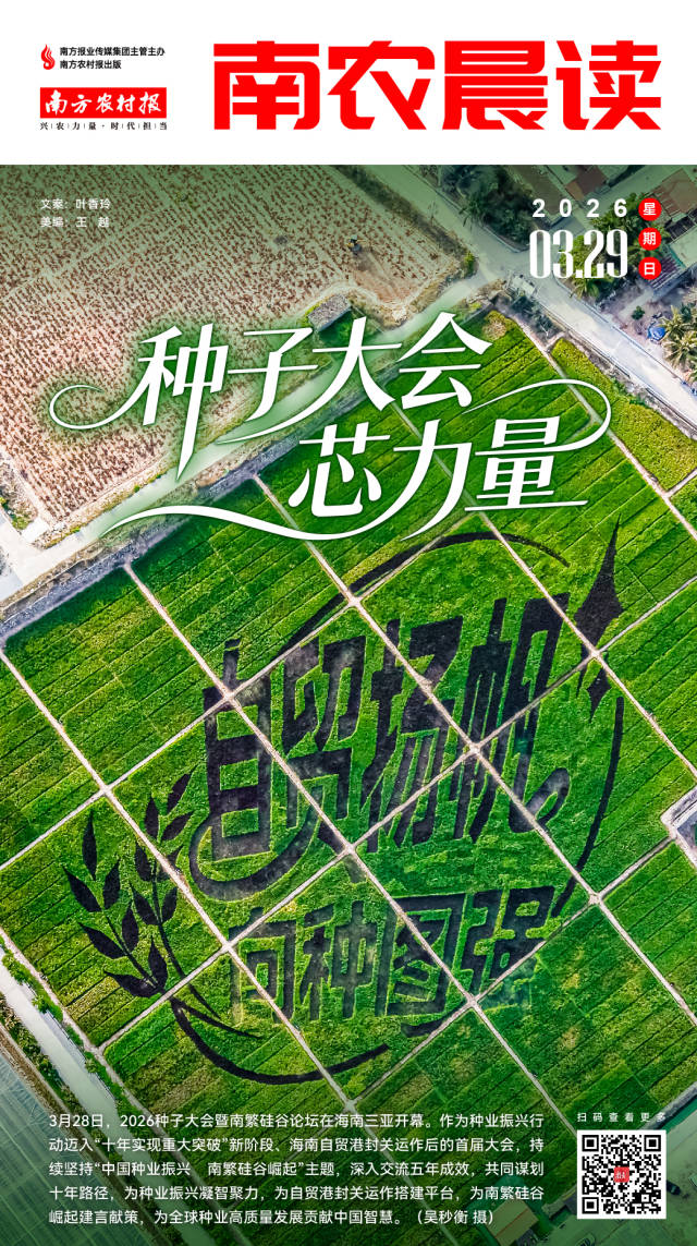 南方农村报 李嘉镓 制图