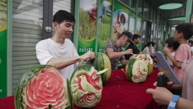 上洋西瓜成为带动乡亲们增收致富的“致富瓜”