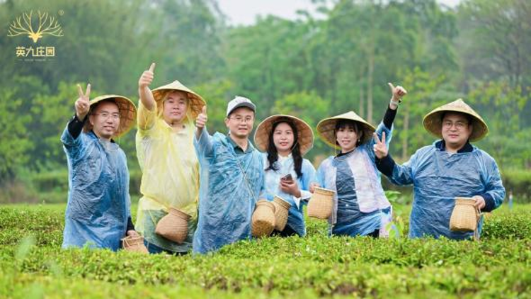 ​央企赋能百亿红茶，​“好客英九” 助力英德红茶走向全国中石油专场推介会圆满举办