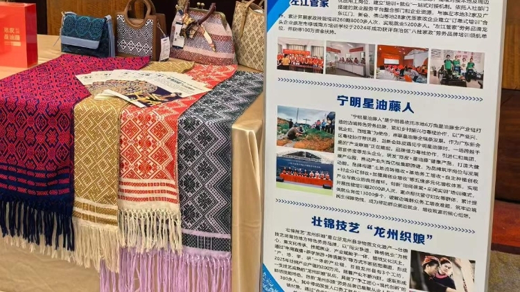 “宁明星油藤人”亮相广西就业创业工作会议，粤桂协作助力就业增收