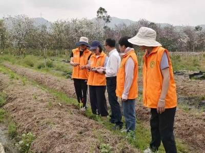 多措施护航春耕，助力粮食稳产