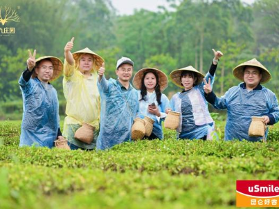 央企赋能百亿产业，英德红茶头采季之中石油专场推介会举办