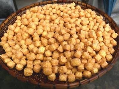 一颗豆如何带旺一个镇？新兴县里洞镇这场揭牌仪式给出答案