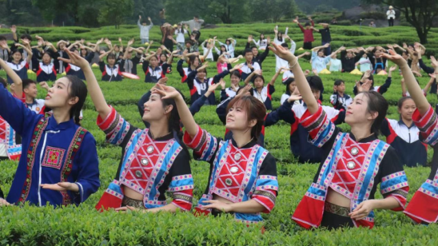 从罗坑“喊山”到草原赶集，看韶关如何泡好“文旅茶”