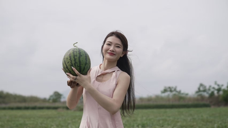 南农晨读 | 上洋西瓜 甜蜜万家
