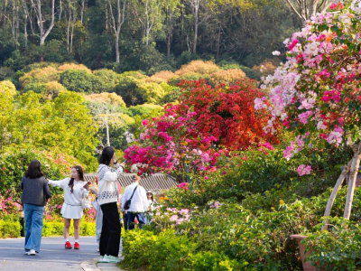 收藏！东莞春日赏花攻略出炉，来赴一场春日花事吧