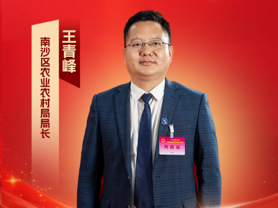 视频｜南沙区农业农村局局长王青峰：全面消除集体收入150万元以下的相对薄弱村｜南沙两会