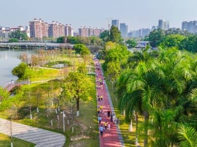 视频｜南沙开发区投促局局长杨康：精准招商做实做优“港澳服务+南沙制造”产业闭环