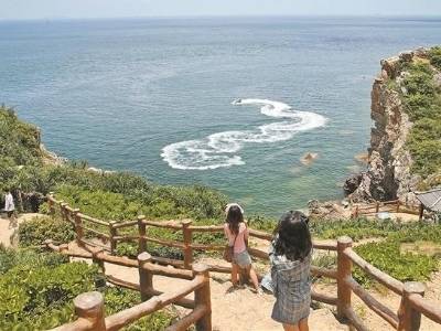 深圳建成公园1350个，建成区绿化率达45.7%