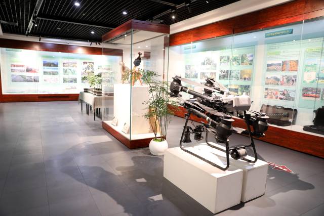 展馆中有详实的图文展板、珍贵的历史史料、生动的影像资料，还有各类特色展陈内容  通讯员 林荫 供图