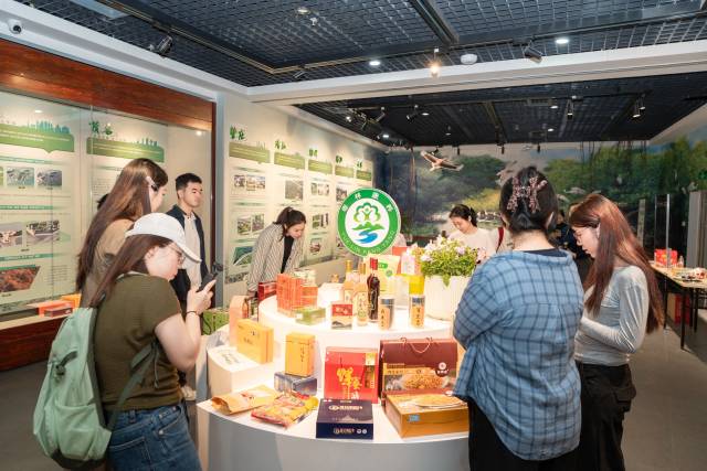在林产品展示区，全省各类林产品齐聚一堂