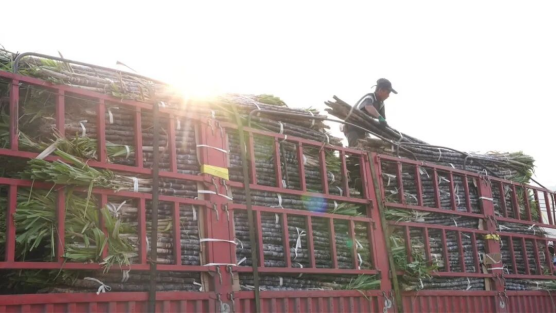 跨城运输、进城对接的所有琐事均由商会牵头对接&nbsp;