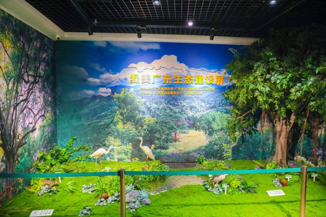 步入展厅，浓郁的绿色气息扑面而来