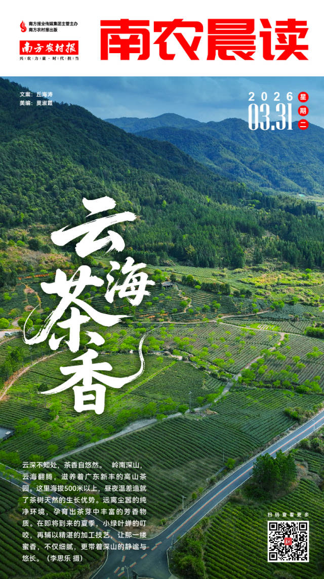 南方农村报 吴俊麒 制图