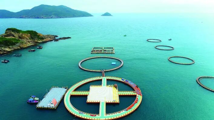 惠东县: “种业+产业+品牌”驱动农业发展能级提升