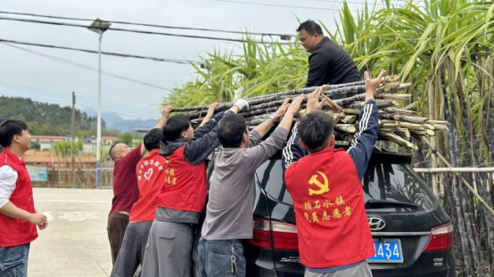 村干部下沉田间，化身助农服务队，帮农户抢收