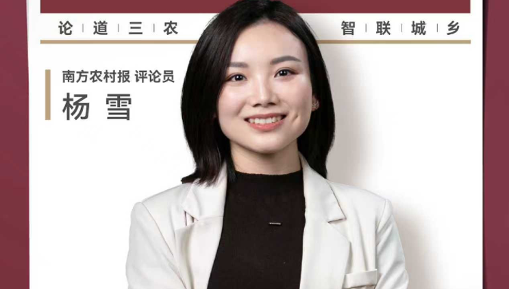 兴农评 | 猪肉跌到“白菜价”，消费者为何没感觉？