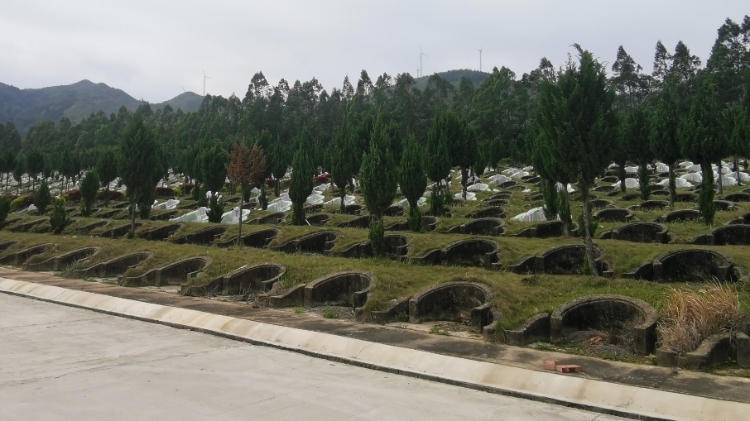 新规正式施行！农村公益性墓地不得向村民收费