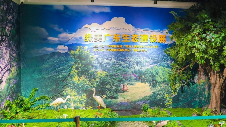 把绿美广东“搬进展厅”，这场展览值得一看