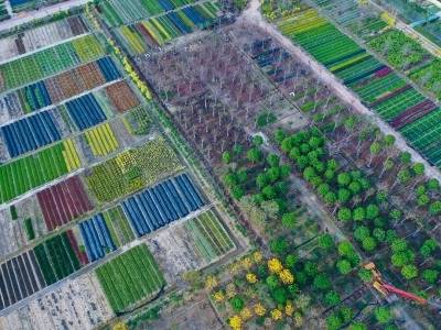 “三农”满分考卷，南海这样作答