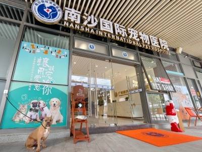 南沙区农业农村局局长王青峰：以宠物经济为抓手，深化粤港澳农业农村领域合作