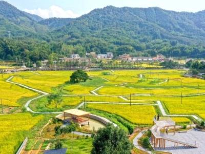 南方惠评｜经济大市惠州，农业大有可为