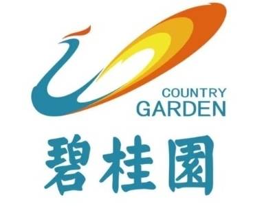 债务重组助力财务修复，碧桂园2025年净利润16亿元