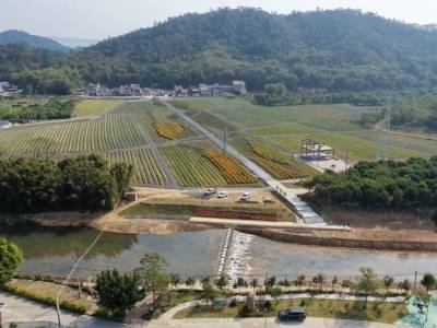 强村公司激活“一池春水”，清新禾云驶向乡村运营“快车道”