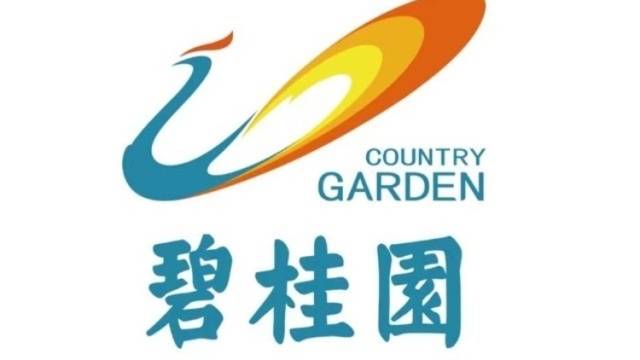 债务重组助力财务修复，碧桂园2025年净利润16亿元