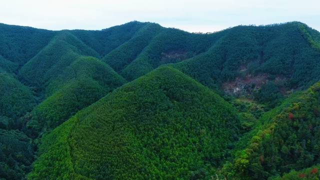 同乐林场现状航拍