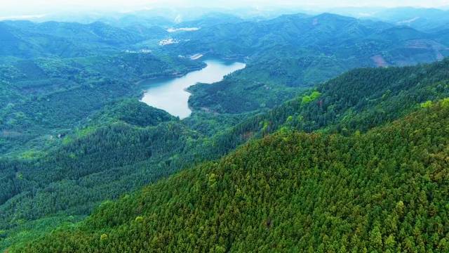 同乐林场现状航拍  