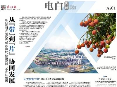 从“带”到“片” 协同发展｜速览《南方日报·电白视窗》第259期