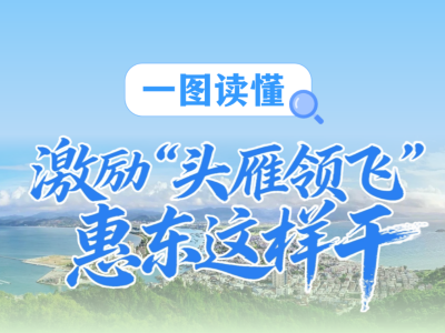 最高60万元！惠东县设立“金雁奖”激励“百千万工程”实干者