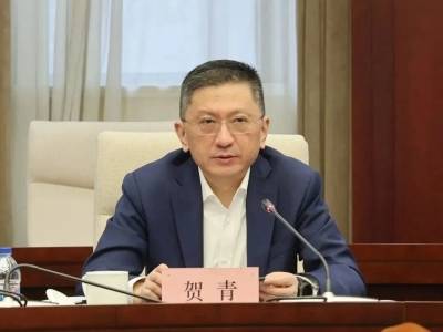 贺青任上海市副市长