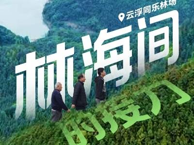 林海间的接力：云浮同乐林场的三代守林故事 | 寻美南粤⑮